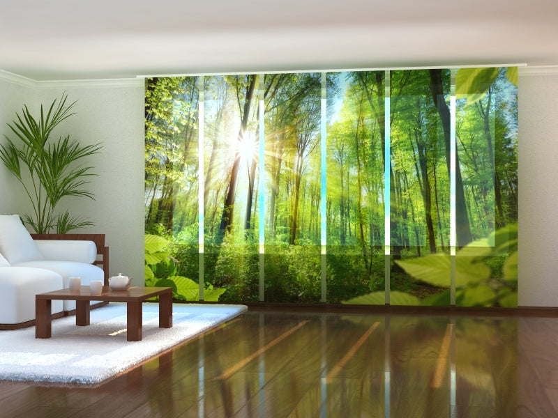 Set di 6 Tende a Pannello Raggi Calorosi acquistare Set di 6 Tende a Pannello Raggi Calorosi — Foto