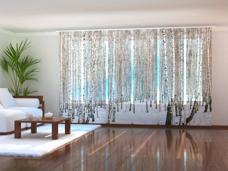 Set di 6 Tende a Pannello Foresta di Betulle in Inverno acquistare Set di 6 Tende a Pannello Foresta di Betulle in Inverno — Foto