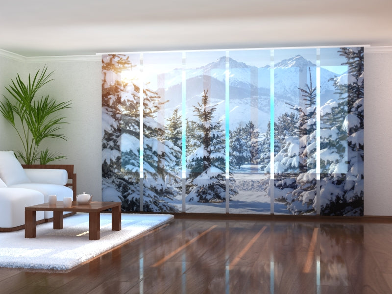 Set di 6 Tende a Pannello Sole Invernale acquistare Set di 6 Tende a Pannello Sole Invernale — Foto