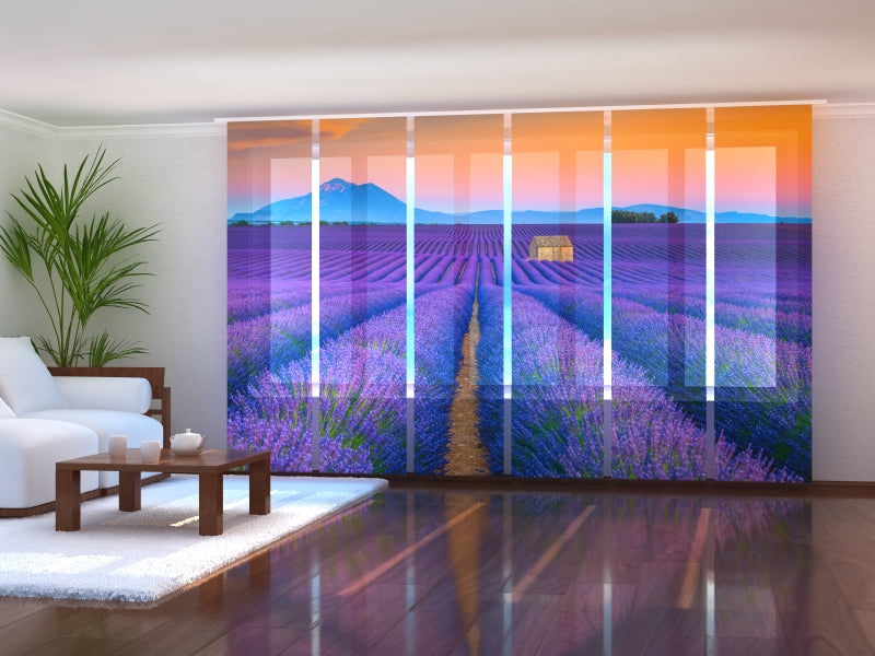 Set di 6 Tende a Pannello Meravigliosi Campi di Lavanda in Provenza acquistare Set di 6 Tende a Pannello Meravigliosi Campi di Lavanda in Provenza — Foto