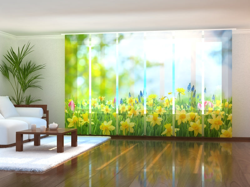 Set di 6 Tende a Pannello Giunchiglie Gialle acquistare Set di 6 Tende a Pannello Giunchiglie Gialle — Foto