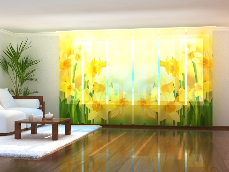 Set di 6 Tende a Pannello Giunchiglie Gialle 2 acquistare Set di 6 Tende a Pannello Giunchiglie Gialle 2 — Foto