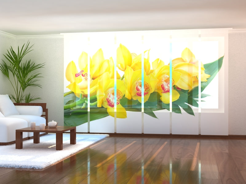 Set di 6 Tende a Pannello Orchidee Gialle acquistare Set di 6 Tende a Pannello Orchidee Gialle — Foto