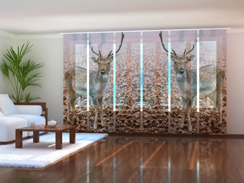 Set di 6 Tende a Pannello Giovani Cervi nella Foresta di Autunno acquistare Set di 6 Tende a Pannello Giovani Cervi nella Foresta di Autunno — Foto