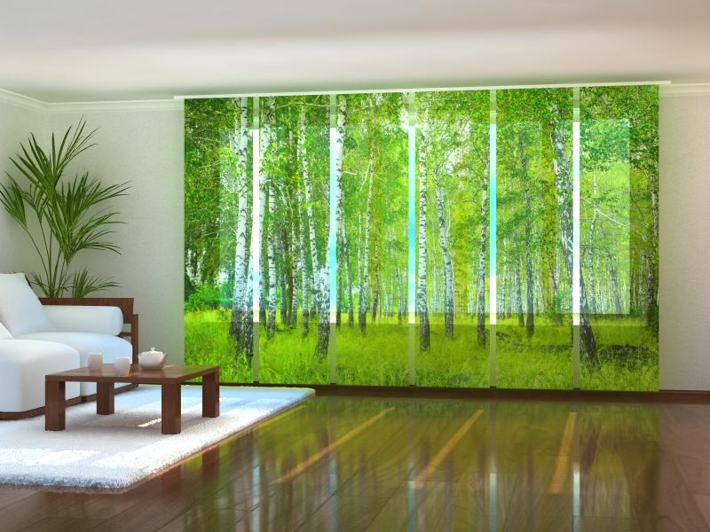 Set di 6 Tende a Pannello Foresta di Betulle acquistare Set di 6 Tende a Pannello Foresta di Betulle — Foto