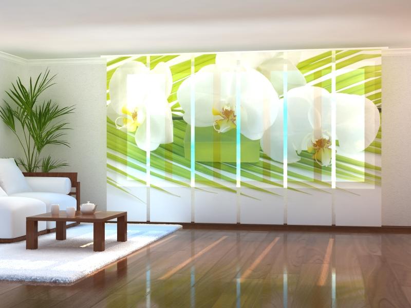 Set di 6 Tende a Pannello Ramoscello di Palma e Orchidee acquistare Set di 6 Tende a Pannello Ramoscello di Palma e Orchidee — Foto