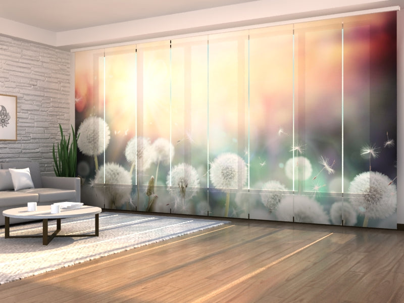 Set di 8 Tende a Pannello Campo di Denti di Leone al Tramonto acquistare Set di 8 Tende a Pannello Campo di Denti di Leone al Tramonto — Foto