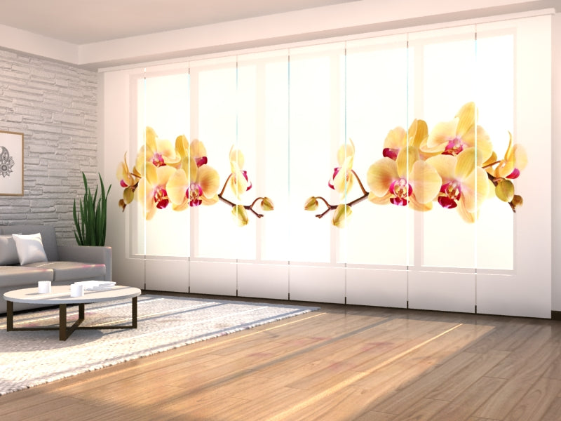 Set di 8 Tende a Pannello Orchidea Dorata su Bianco acquistare Set di 8 Tende a Pannello Orchidea Dorata su Bianco — Foto