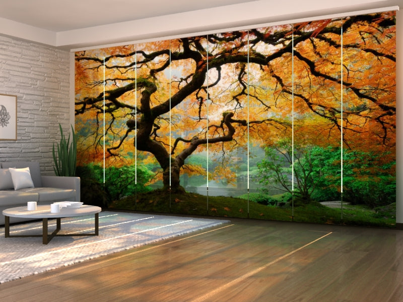 Set di 8 Tende a Pannello Vecchio Acero Giapponese acquistare Set di 8 Tende a Pannello Vecchio Acero Giapponese — Foto