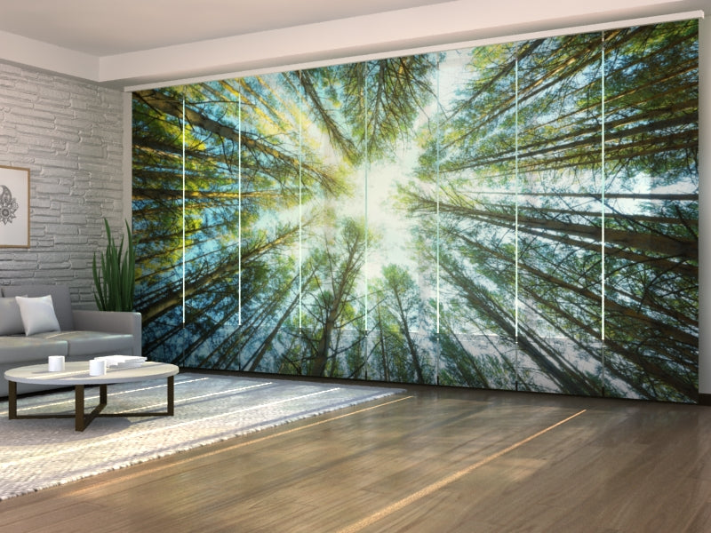 Set di 8 Tende a Pannello Cime di Alberi acquistare Set di 8 Tende a Pannello Cime di Alberi — Foto