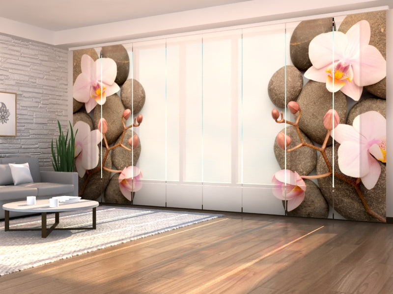 Set di 8 Tende a Pannello Orchidea di Vienna acquistare Set di 8 Tende a Pannello Orchidea di Vienna — Foto