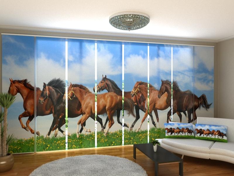 Set di 8 Tende a Pannello Veloce come il Vento acquistare Set di 8 Tende a Pannello Veloce come il Vento — Foto