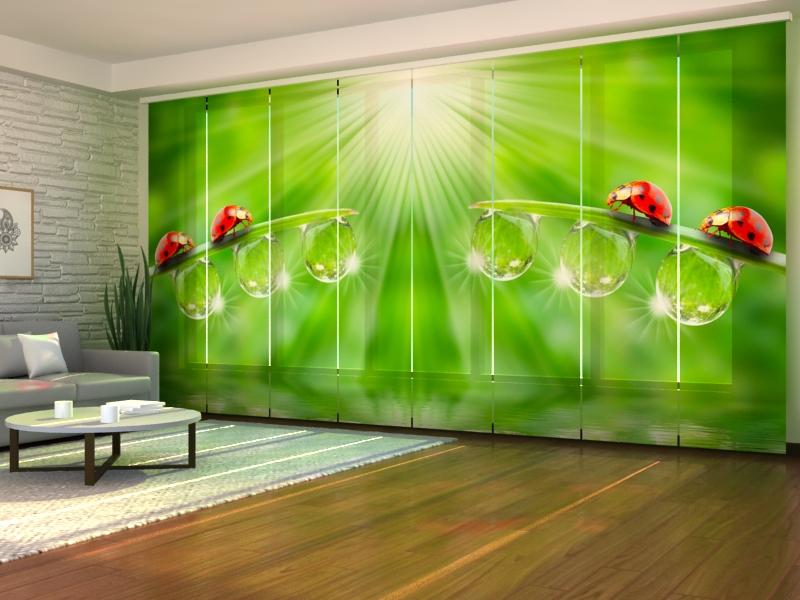 Set di 8 Tende a Pannello Coccinelle acquistare Set di 8 Tende a Pannello Coccinelle — Foto