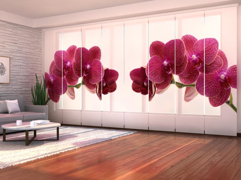 Set di 8 Tende a Pannello Felicit�� Viola acquistare Set di 8 Tende a Pannello Felicit�� Viola — Foto