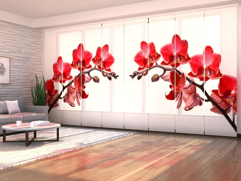 Set di 8 Tende a Pannello Regina delle Orchidee acquistare Set di 8 Tende a Pannello Regina delle Orchidee — Foto