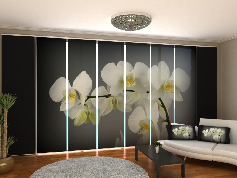 Set di 8 Tende a Pannello Canzone dell'Orchidea acquistare Set di 8 Tende a Pannello Canzone dell'Orchidea — Foto