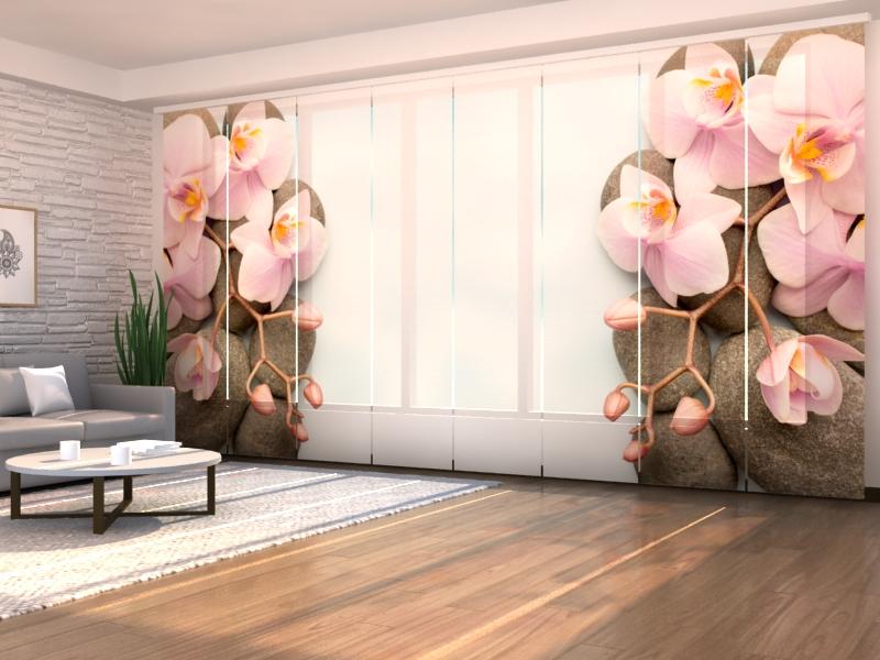 Set di 8 Tende a Pannello Orchidea di Vienna 2 acquistare Set di 8 Tende a Pannello Orchidea di Vienna 2 — Foto