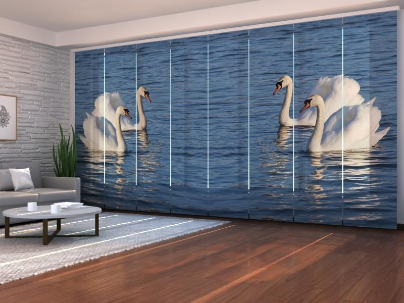 Set di 8 Tende a Pannello Cigni Bianchi acquistare Set di 8 Tende a Pannello Cigni Bianchi — Foto