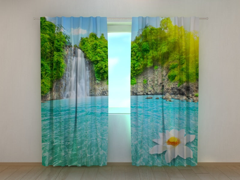 Foto Tende Giglio Paradisiaco acquistare Foto Tende Giglio Paradisiaco — Foto