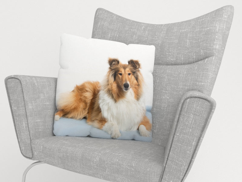 Federe per Cuscini Magnifico Collie acquistare Federe per Cuscini Magnifico Collie — Foto