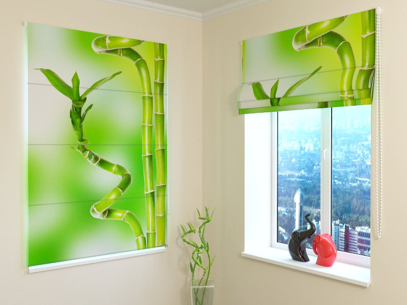 Tende a Pacchetto Bambù Meraviglioso acquistare Tende a Pacchetto Bambù Meraviglioso — Foto