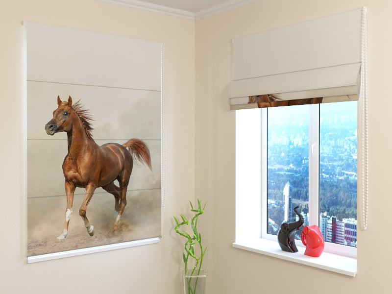 Tende a Pacchetto Stallone Arabo nelle Praterie acquistare Tende a Pacchetto Stallone Arabo nelle Praterie — Foto