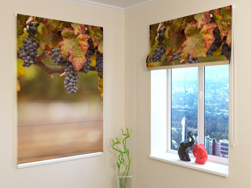 Tende a Pacchetto Vitigno Autunnale acquistare Tende a Pacchetto Vitigno Autunnale — Foto