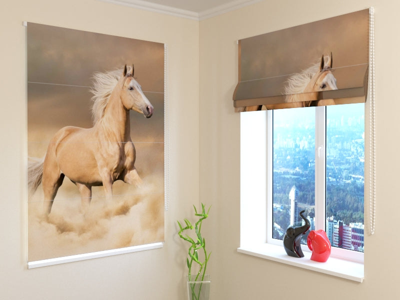 Tende a Pacchetto Bellissimo Cavallo Palomino Chiaro acquistare Tende a Pacchetto Bellissimo Cavallo Palomino Chiaro — Foto