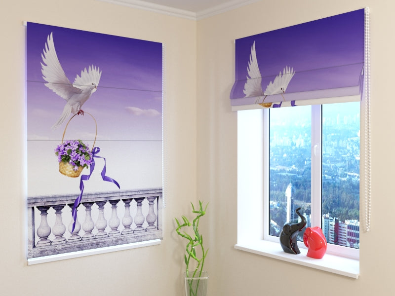 Tende a Pacchetto Magnifica Colomba acquistare Tende a Pacchetto Magnifica Colomba — Foto