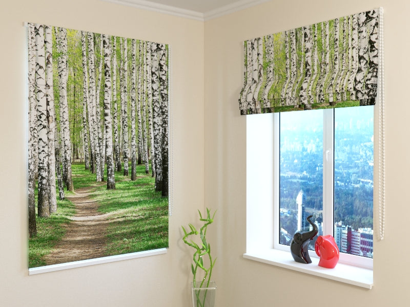 Tende a Pacchetto Foresta di Betulle acquistare Tende a Pacchetto Foresta di Betulle — Foto