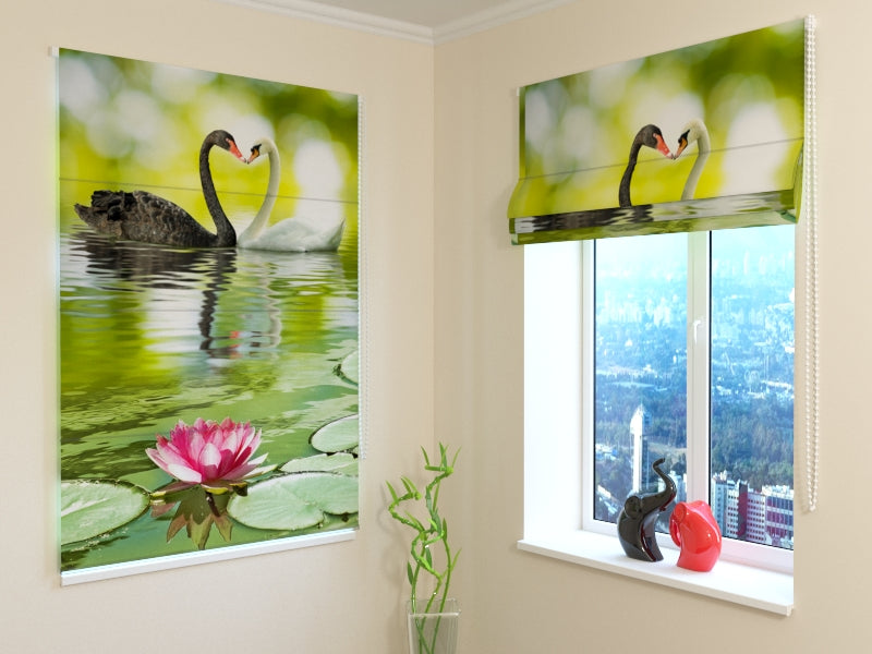 Tende a Pacchetto Cigni in Bianco e Nero acquistare Tende a Pacchetto Cigni in Bianco e Nero — Foto