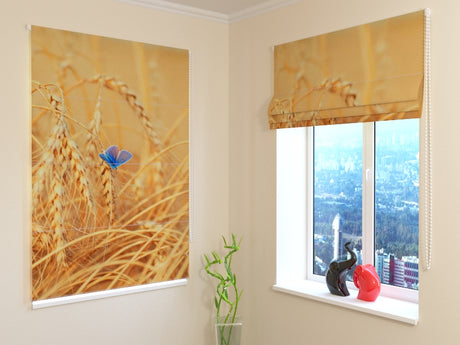 acquistare  — Foto