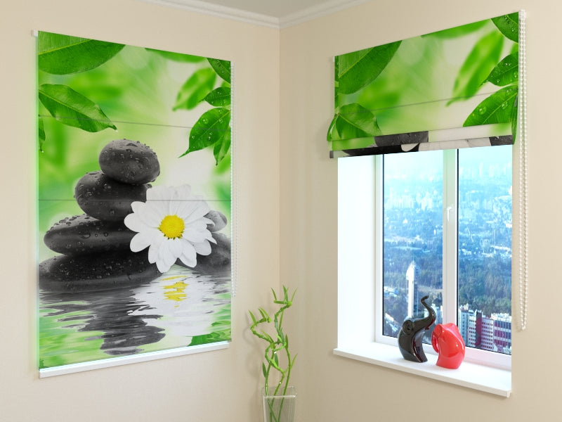 Tende a Pacchetto Crisantemo e Pietre acquistare Tende a Pacchetto Crisantemo e Pietre — Foto