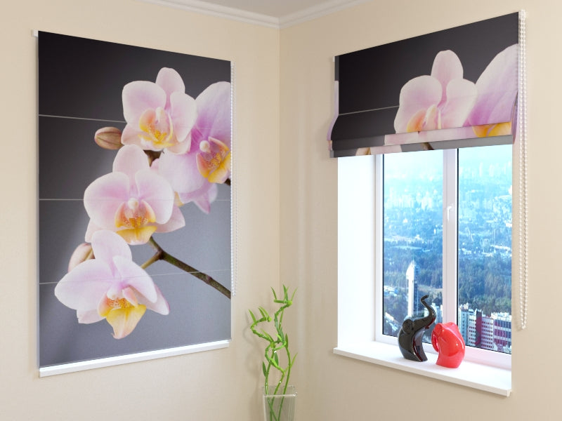 Tende a Pacchetto Elegante Ramo di Orchidea acquistare Tende a Pacchetto Elegante Ramo di Orchidea — Foto