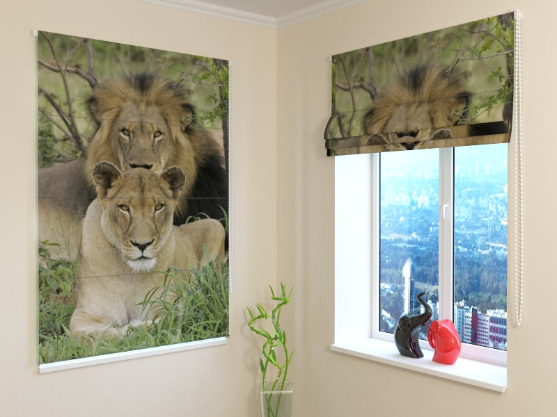 Tende a Pacchetto Famiglia di Leoni acquistare Tende a Pacchetto Famiglia di Leoni — Foto