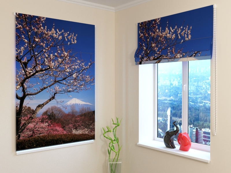 Tende a Pacchetto Monte Fuji acquistare Tende a Pacchetto Monte Fuji — Foto