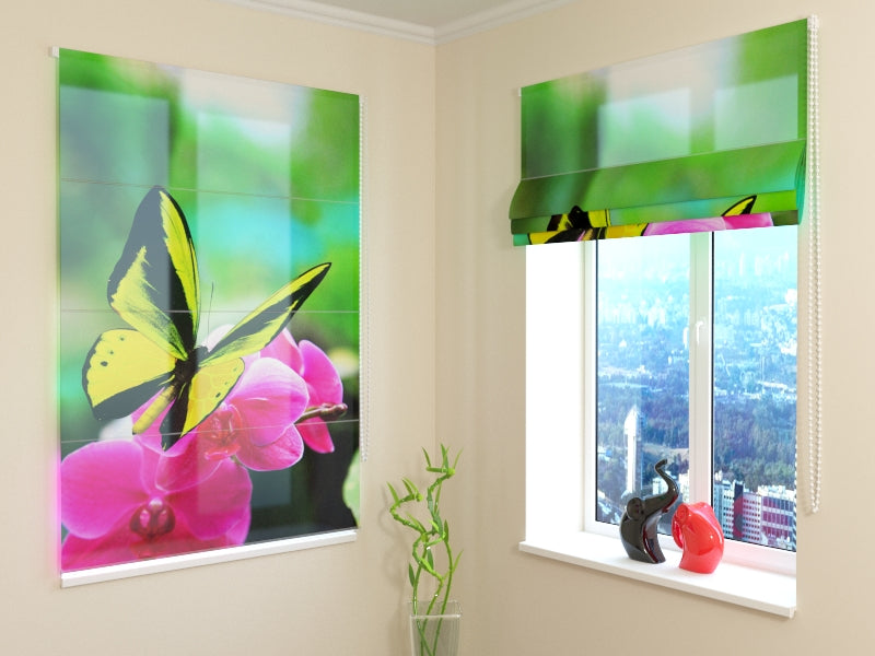 Tende a Pacchetto Colori Vibranti acquistare Tende a Pacchetto Colori Vibranti — Foto