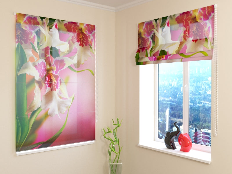 Tende a Pacchetto Orchidee Maculate acquistare Tende a Pacchetto Orchidee Maculate — Foto