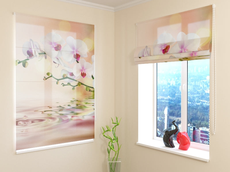 Tende a Pacchetto Orchidea Perfetta acquistare Tende a Pacchetto Orchidea Perfetta — Foto