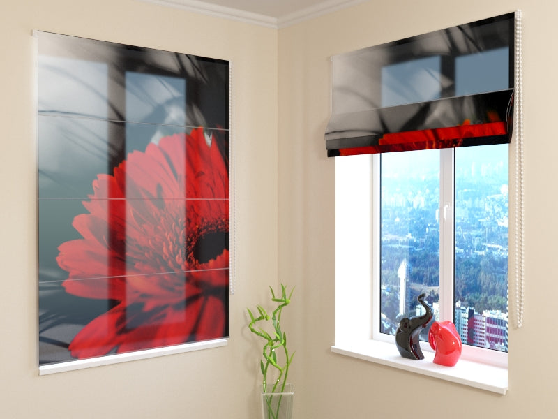 Tende a Pacchetto Rosso e Nero acquistare Tende a Pacchetto Rosso e Nero — Foto