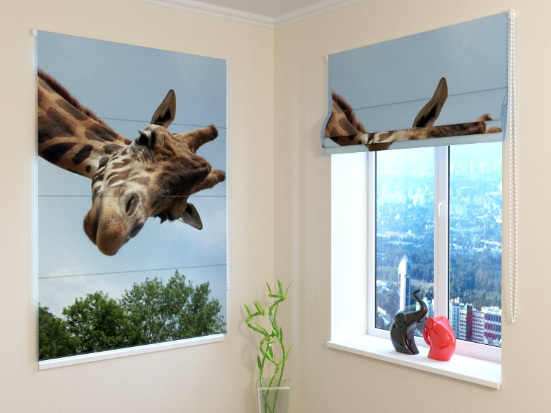 Tende a Pacchetto Giraffa acquistare Tende a Pacchetto Giraffa — Foto