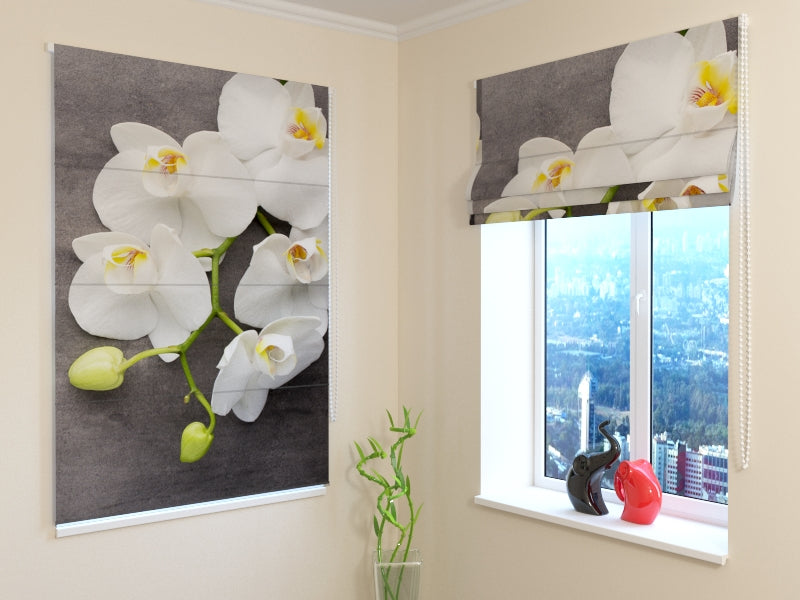 Tende a Pacchetto Grigio e Bianco acquistare Tende a Pacchetto Grigio e Bianco — Foto