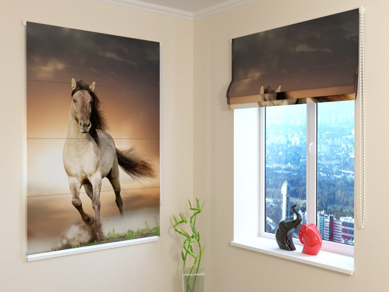 Tende a Pacchetto Cavallo acquistare Tende a Pacchetto Cavallo — Foto