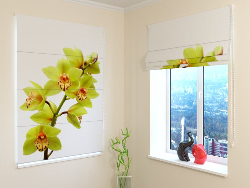 Tende a Pacchetto Orchidea Verde Chiaro acquistare Tende a Pacchetto Orchidea Verde Chiaro — Foto