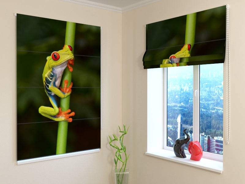 Tende a Pacchetto Piccola Rana acquistare Tende a Pacchetto Piccola Rana — Foto