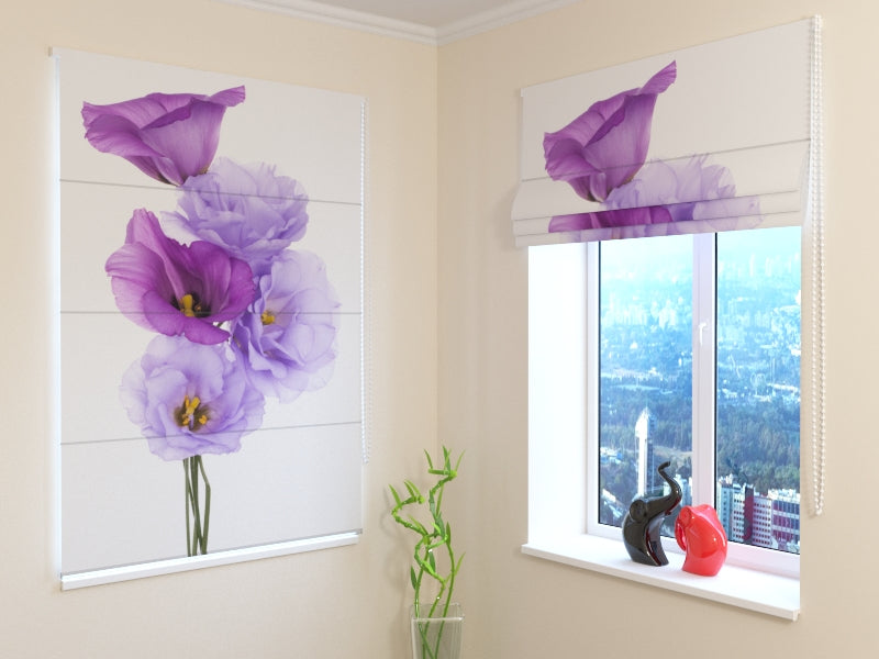 Tende a Pacchetto Fiore Muse acquistare Tende a Pacchetto Fiore Muse — Foto