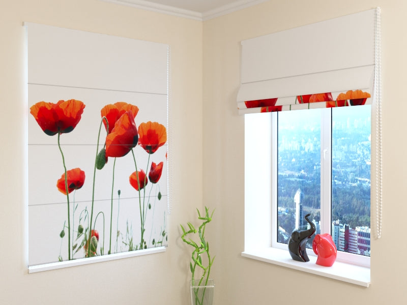 Tende a Pacchetto Papaveri Olandesi acquistare Tende a Pacchetto Papaveri Olandesi — Foto