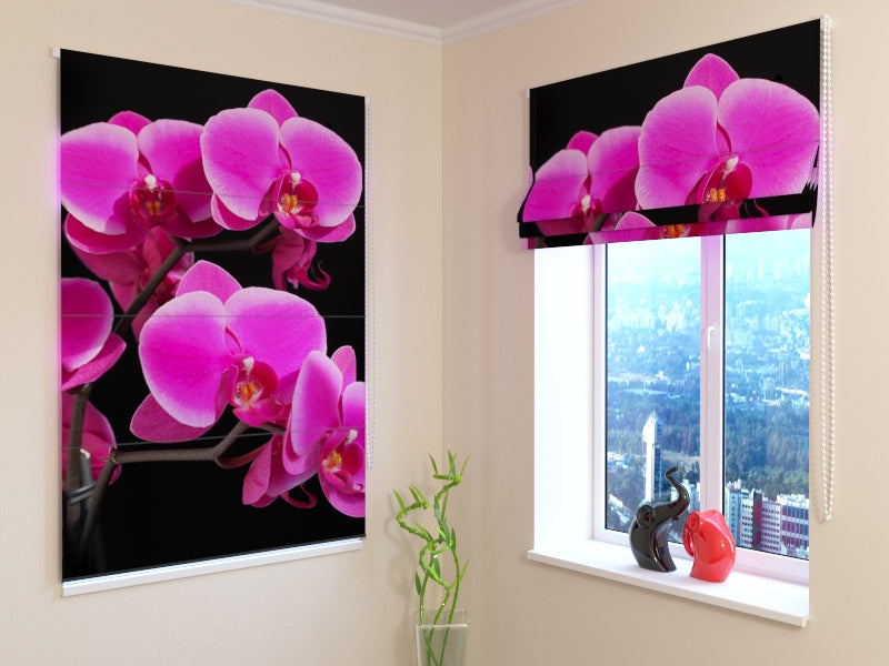 Tende a Pacchetto Ramoscello di Orchidea acquistare Tende a Pacchetto Ramoscello di Orchidea — Foto