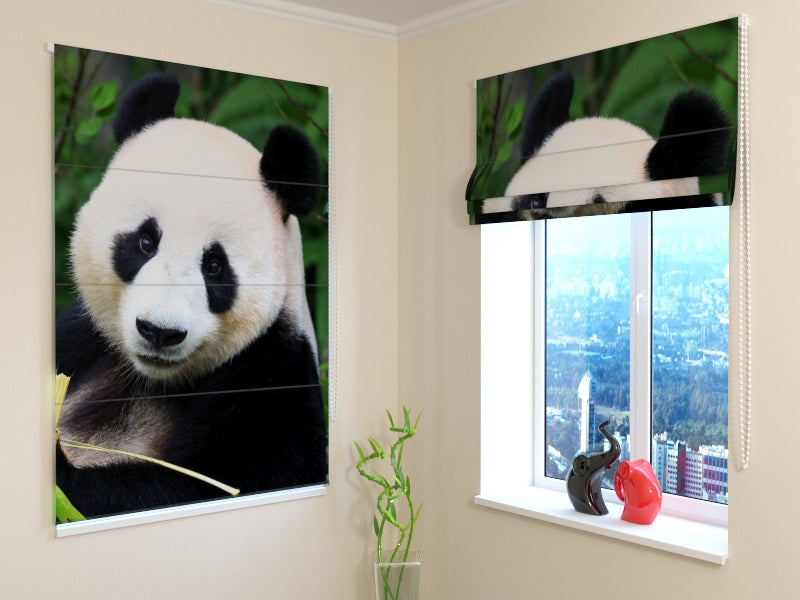 Tende a Pacchetto Panda acquistare Tende a Pacchetto Panda — Foto