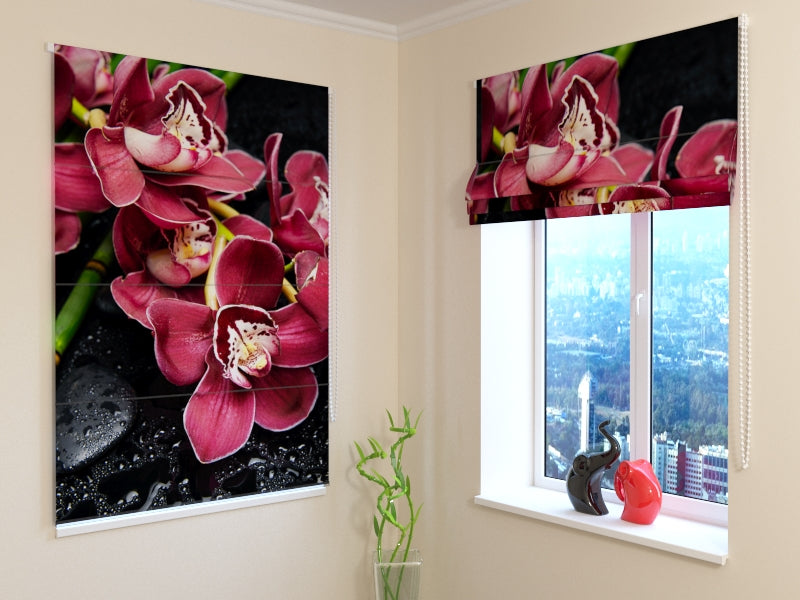 Tende a Pacchetto Fantasia acquistare Tende a Pacchetto Fantasia — Foto